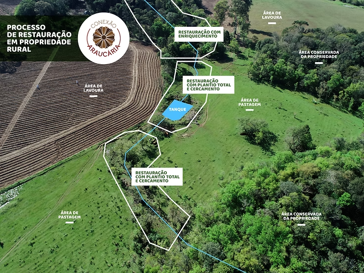 Imagem aérea da área em processo de restauração.
