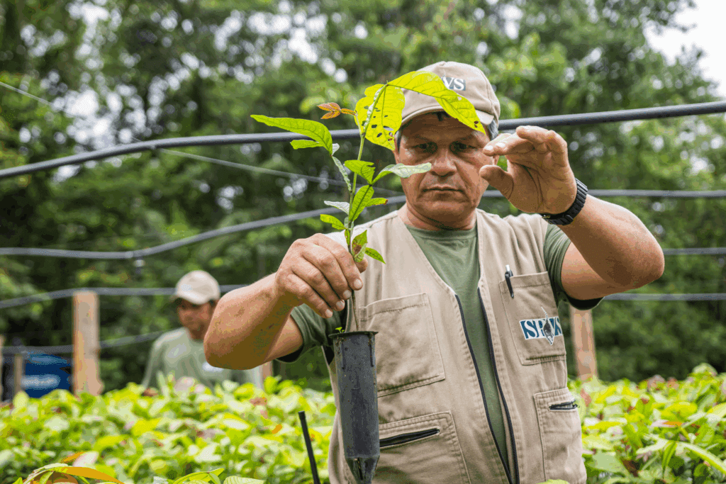 Imagem de um homem segurando uma muda de planta.