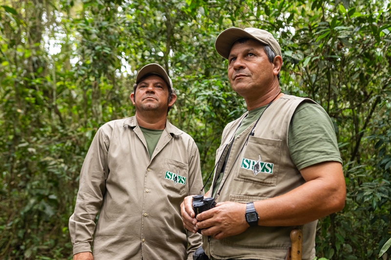 Imagem de dois homens profissionais da SPVS em meio a floresta olhando para cima e segurando binóculo.