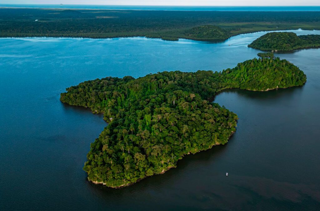 Imagem aérea da Ilha do Pinheiro com árvores e o mar no entorno.