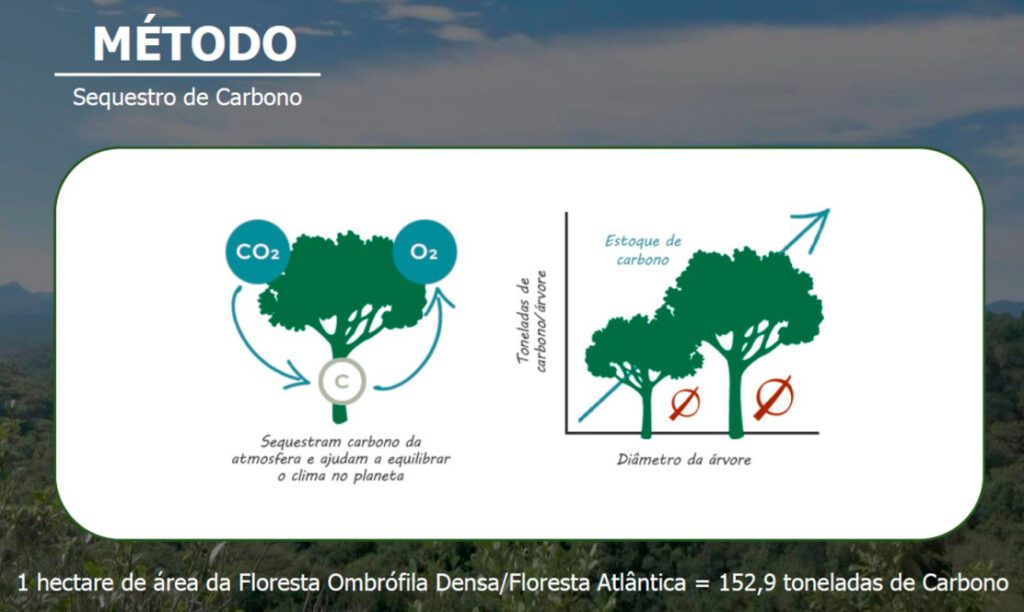 Imagem explicativa sobre o sequestro de carbono.