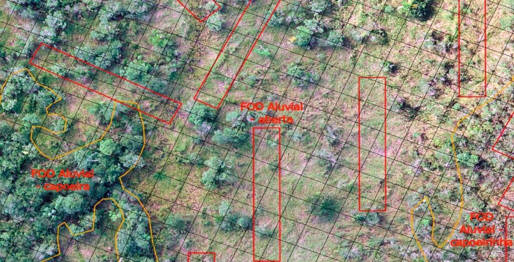 Imagem de uma área com vegetação devastada e retângulos em vermelho demarcando regiões de plantio.