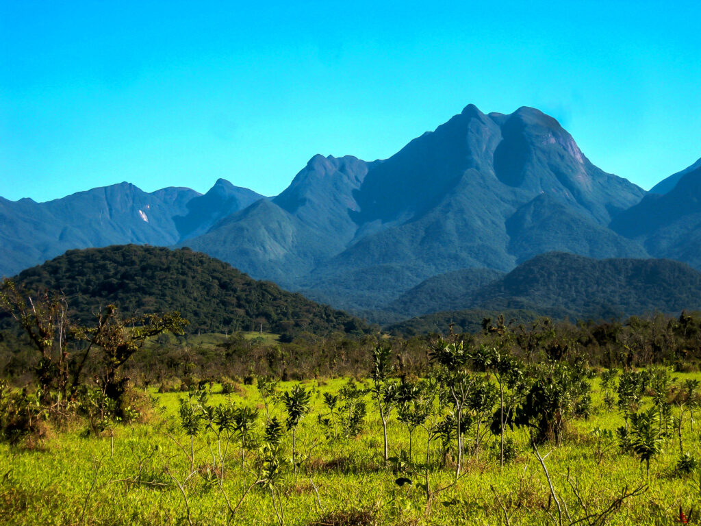 Imagem Paisagem Reserva Guaricica – Vale dos Gigantes