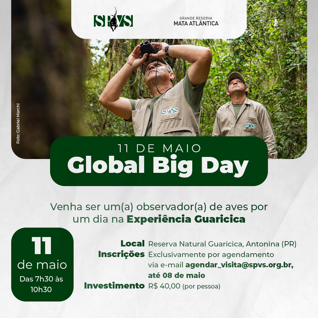Imagem ilustrada de informações sobre o Global Big Day