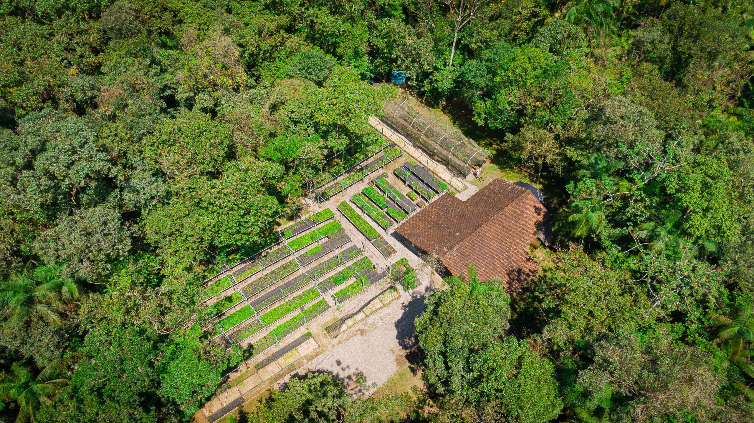 Imagem aérea de viveiro da SPVS.