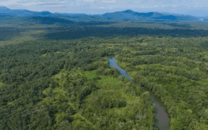 Um Só Planeta: A produção de natureza como modelo de desenvolvimento