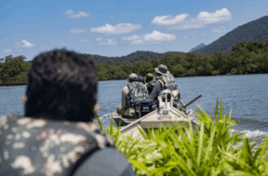 Notícia Sustentável: Entrevista: pesquisadora fala sobre desafios e avanços na conservação dos manguezais no litoral paranaense