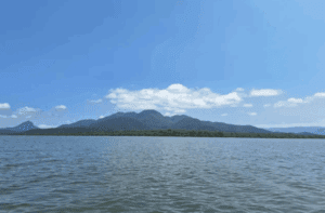 O ECO: A importância da rede de colaboração em prol da conservação dos manguezais no litoral norte do Paraná