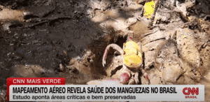 CNN Mais Verde: Mapeamento aéreo revela saúde dos manguezais no Brasil