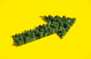 Um Só Planeta: Para incorporar a natureza à gestão ambiental corporativa as evidências não bastam?