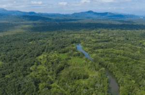 Um Só Planeta: A produção de natureza como modelo de desenvolvimento
