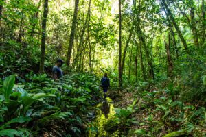 Rádio EBC Nacional: Saiba o que é o projeto Neutralidade Hídrica