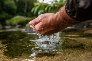 Um Só Planeta: Produzir natureza é possível – e urgente