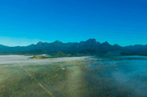 Carbon Pulse: Brazilian healthcare institution buys $15k of voluntary biodiversity credits