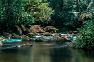 Agenda do Viajante: Grande Reserva Mata Atlântica – Uma Imersão no Coração Selvagem e Cultural do Paraná