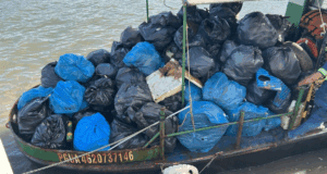 Voluntários retiram 1,3 tonelada de lixo em ação ambiental em cidades do Litoral do Paraná