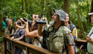 Global Big Day mobiliza observadores de aves em reserva da SPVS no litoral do Paraná