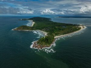 Em abril, Brasil vira palco de iniciativa global que aposta em liderança para impulsionar a economia da conservação