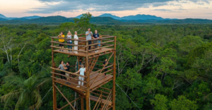 Área de conservação do Paraná ganha torre para observar a biodiversidade da Mata Atlântica