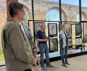 Exposição internacional no Paraná reúne artistas do mundo todo para retratar espécies ameaçadas
