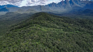 Produção de natureza deve ser compromisso do próximo governo do Paraná