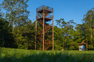 Antonina ganha torre de observação de aves na Reserva Natural Guaricica